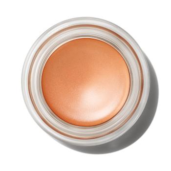 MAC Cosmetics Krémové oční stíny (Pro Longwear Paint Pot Eyeshadow) 5 g Contemplative State