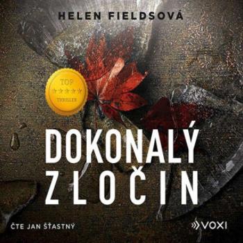 Dokonalý zločin - Helen Fieldsová - audiokniha