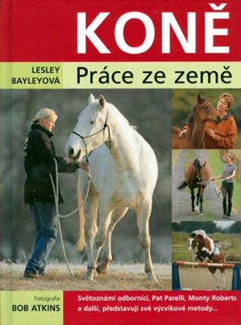 Koně - práce ze země - Lesley Bayleyová