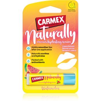 Carmex Watermelon hydratační balzám na rty v tyčince 4.25 g