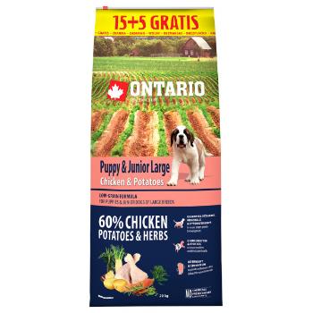 Ontario Puppy & Junior Large Chicken & Potatoes 15+5kg zdarma