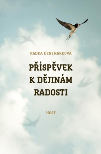 Příspěvek k dějinám radosti - Radka Denemarková - e-kniha