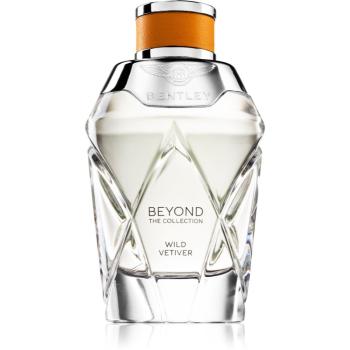 Bentley Beyond The Collection Wild Vetiver parfémovaná voda pro muže 100 ml