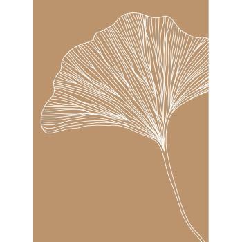 Poszter 29x41 cm Gingko – Veronika Boulová