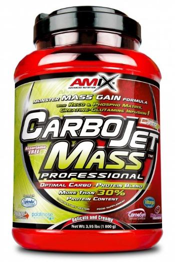 CarboJet Mass Professional - Amix 3000 g Lesné ovocie