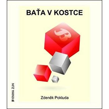 Baťa v kostce (978-80-7473-126-6)