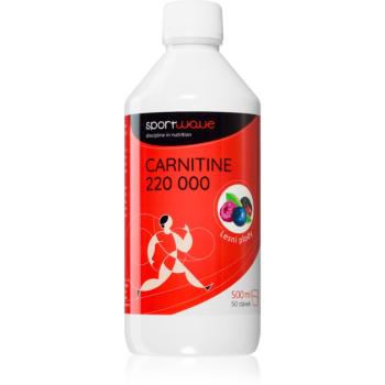 SportWave® Carnitine 220 000 spalovač tuků příchuť Forest Berries 500 ml