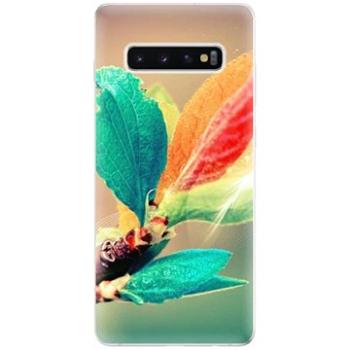 iSaprio Autumn pro Samsung Galaxy S10+ (aut02-TPU-gS10p)