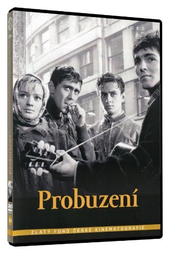 Probuzení (DVD)