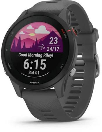 Garmin Forerunner 255 Slate Gray 010-02641-10