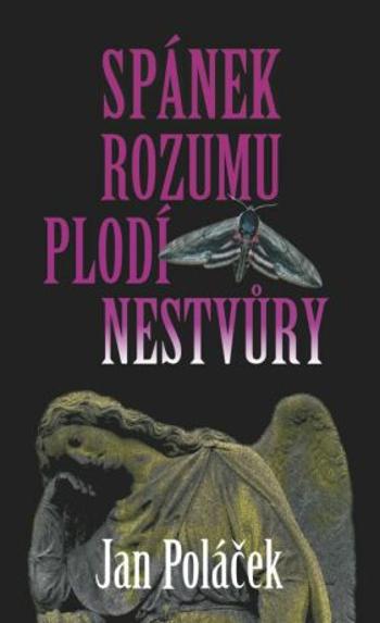 Spánek rozumu plodí nestvůry - Jan Poláček - e-kniha