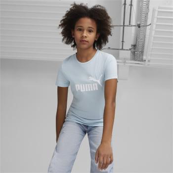 Puma ESS Logo Tee G 116