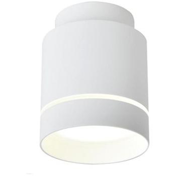 LED Stropní svítidlo TUBA LED/12W/230V (117771)