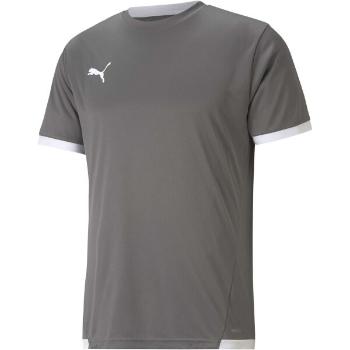 Puma TEAM LIGA JERSEY TEE Pánské fotbalové triko, šedá, velikost