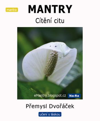 MANTRY – Cítění citu - Přemysl Dvořáček - e-kniha