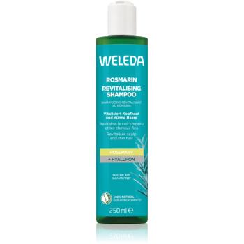 Weleda Rosemary revitalizační šampon 250 ml