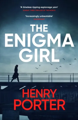 The Enigma Girl - Henry Porter