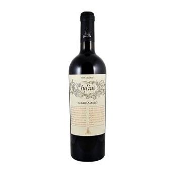 IONIS Iulius IGT Salento Negroamaro 2020 0,75l (8005939010061)