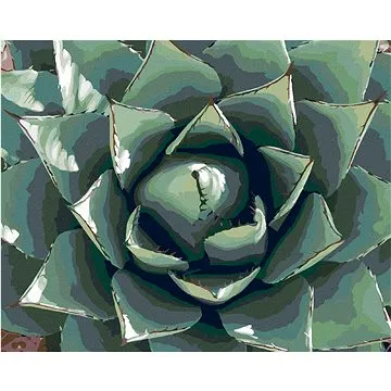 Diamondi - Diamantové malování - POUŠTNÍ ŠŤAVNATÁ ROSTLINA, 40x50 cm, Vypnuté plátno na rám (606895B)