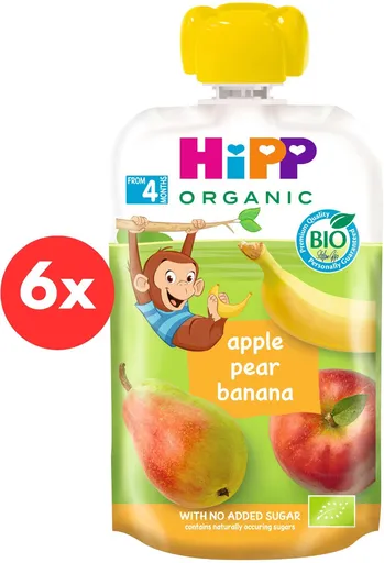 HiPP BIO 100% ovoce Jablko-Hruška - Banán od uk. 4. měsíce, 6× 100 g (9062300440918)