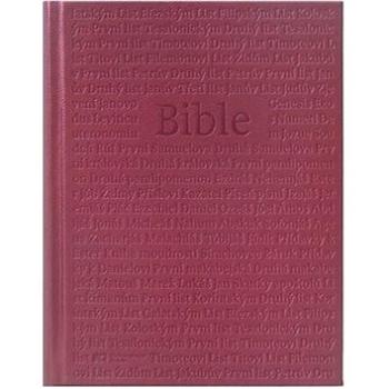 Bible (8594160430392)