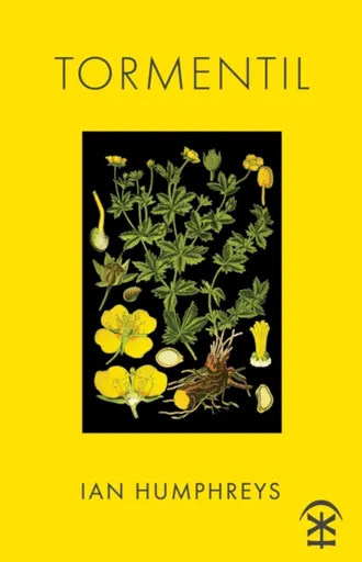 Tormentil - Ian Humphreys