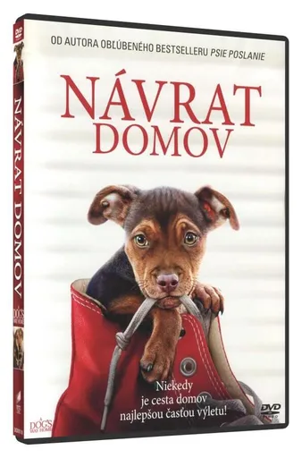 Psí domov (Návrat domov) (DVD) - DOVOZ (SK)