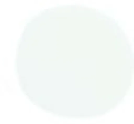 Barva na sklo Deco Renesans 30ml – Bílá 100