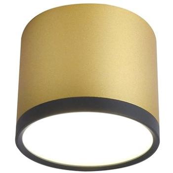 LED Stropní svítidlo TUBA LED/9W/230V (118381)