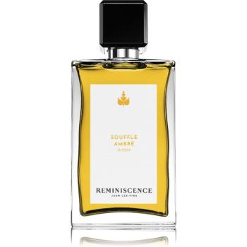 Reminiscence Souffle Ambre toaletní voda unisex 50 ml