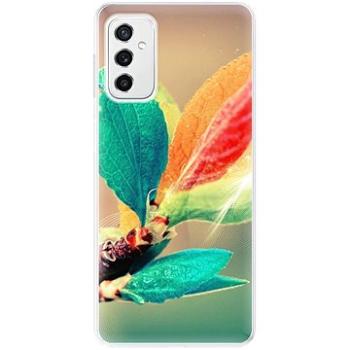 iSaprio Autumn 02 pro Samsung Galaxy M52 5G (aut02-TPU3-M52_5G)