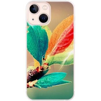 iSaprio Autumn 02 pro iPhone 13 mini (aut02-TPU3-i13m)