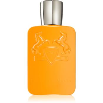 Parfums De Marly Perseus parfémovaná voda pro muže 125 ml