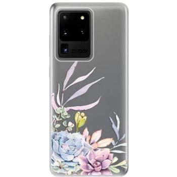 iSaprio Succulent 01 pro Samsung Galaxy S20 Ultra (succ01-TPU2_S20U)