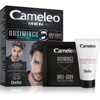 Delia Cosmetics Cameleo Men barva na vlasy pro muže 2 ks