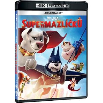 DC Liga supermazlíčků - 4K Ultra HD (W02710)