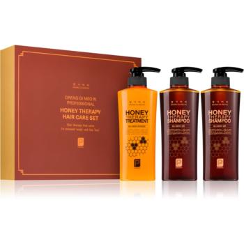 DAENG GI MEO RI Honey Therapy Professional Hair Care Set dárková sada pro výživu a hydrataci