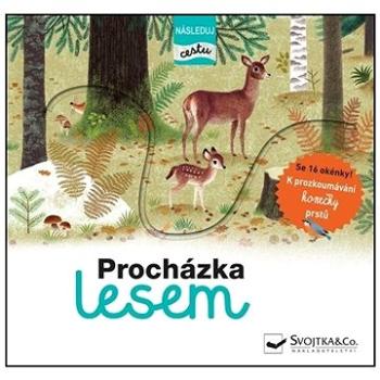 Procházka lesem - následuj cestu (978-80-256-3010-5)