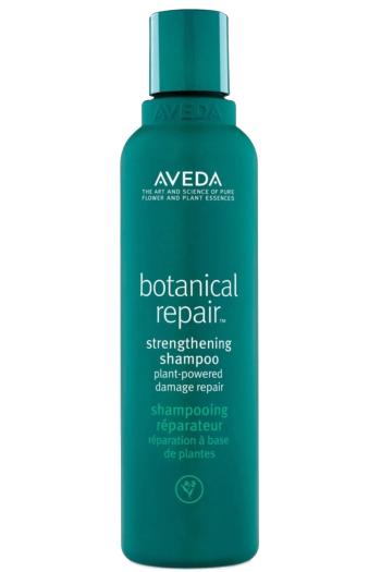 Aveda Posilující šampon Botanical Repair (Strenghtening Shampoo) 200 ml