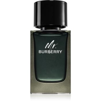 Burberry Mr. Burberry parfémovaná voda pro muže 100 ml