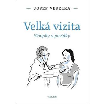 Velká vizita: Sloupky a povídky (978-80-7492-471-2)