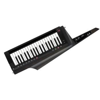 KORG RK-100S2 BK (KRRK100S2BK)