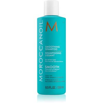 Moroccanoil Smooth obnovující šampon pro uhlazení a výživu suchých a nepoddajných vlasů 250 ml