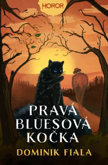 Pravá bluesová kočka - Dominik Fiala