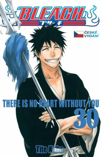 Bleach 30 - Tite Kubo