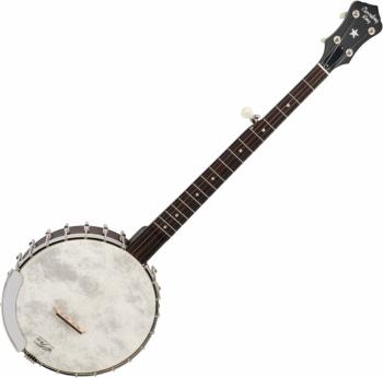 Recording King RK-OT26-BR Brown Satin Banjo