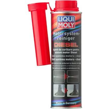 LIQUI MOLY Čistič naftových motorů 300ml (LM5128)