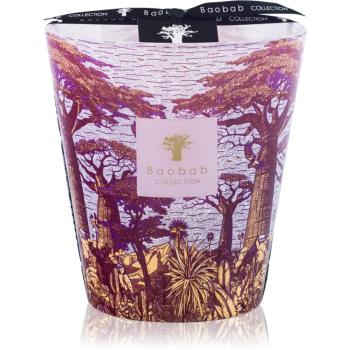 Baobab Collection Sacred Trees Massasso vonná svíčka 16 cm