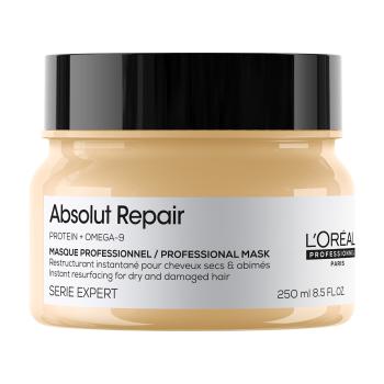 L'Oréal Professionnel Intenzivně regenerační maska pro poškozené vlasy Serie Expert Absolut Repair Gold Quinoa + Protein (Instant Resurfacing Mask) 25