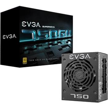 EVGA SuperNOVA 750 GM SFX+ATX (123-GM-0750-X2)